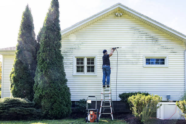 Best House Exterior Washing  in Clarence Center, NY