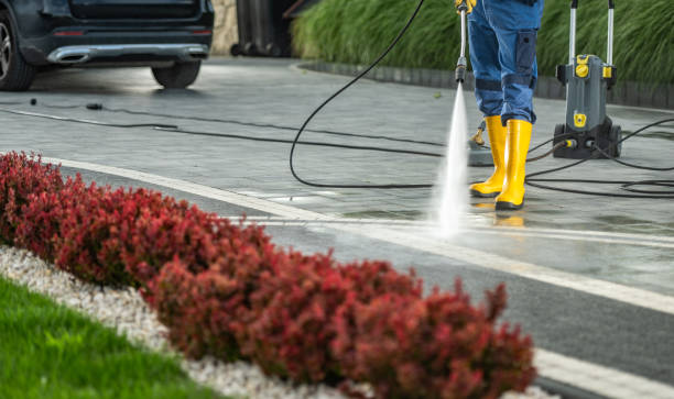 Best Solar Panel Cleaning  in Clarence Center, NY